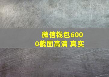 微信钱包6000截图高清 真实